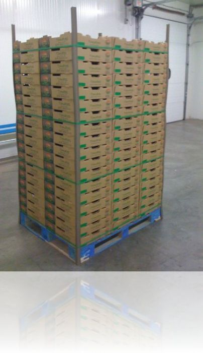 ESQUINEROS DE PLASTICO